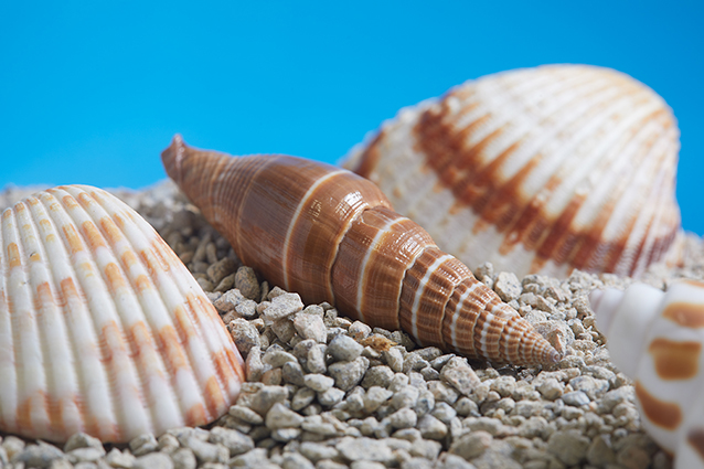 1642506790244374.jpg NewsPage66_04.jpg