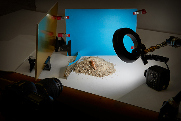 1642506798519398.jpg NewsPage66_05.jpg