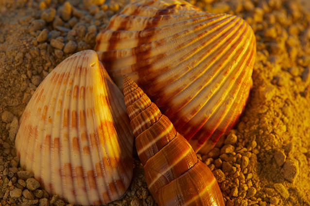 1642506808792210.jpg NewsPage66_06.jpg