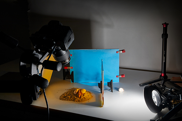 1642506814352664.jpg NewsPage66_07.jpg